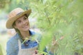 woman working in garden Royalty Free Stock Photo