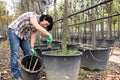 Woman working in the garden center, Royalty Free Stock Photo
