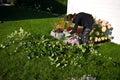 Woman working in a garden, cutting excess twigs of plants Royalty Free Stock Photo