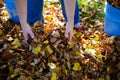 Dispose fall leaves Royalty Free Stock Photo