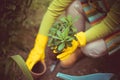 Woman working in the garden holding plant