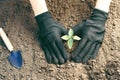 Woman in working gloves working in ground with gardening tools, plants a plant Royalty Free Stock Photo