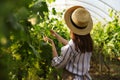 Woman working with grape plants in greenhouse