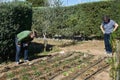 Woman working in her urban garden Royalty Free Stock Photo