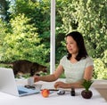 Woman working at home with daylight window and cat behind her Royalty Free Stock Photo