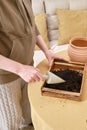 Woman working in home garden, plant care hobby. Transplanting flowers into pots and replacing the soil in the living room, diy Royalty Free Stock Photo