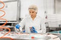 Woman working at ice cream factory conveyor Royalty Free Stock Photo