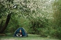 Woman working on laptop in tent in nature. Young freelancer sitting in camp. Relaxing in camping site in forest, meadow. Remote Royalty Free Stock Photo