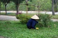 Woman working on Monkey Island