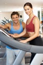 Woman Working With Personal Trainer Royalty Free Stock Photo