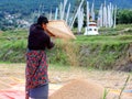 Woman working in rice field enroute Chimi Lhakhang - Bhutan tourism - Bhutanese woman