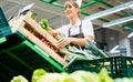 Woman working in a supermarket sorting fruit and vegetables Royalty Free Stock Photo