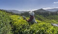 Woman working in a tea gardens in Munnar