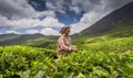 Woman working in a tea gardens in Munnar