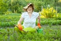 Woman working in vegetable garden Royalty Free Stock Photo