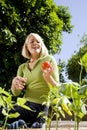 Woman working on vegetable garden in backyard Royalty Free Stock Photo