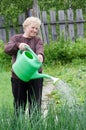 Woman works on a kitchen garden Royalty Free Stock Photo