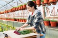 A woman wraps a bouquet of flowers in craft paper. Bouquet of purple tulips. Sale of bouquets from the greenhouse..