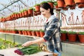 A woman wraps a bouquet of flowers in craft paper. Bouquet of purple tulips. Sale of bouquets from the greenhouse