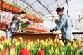 A woman wraps a bouquet of flowers in craft paper. Bouquet of purple tulips. Sale of bouquets from the greenhouse..