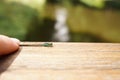 A woman& x27;s finger and a dragonfly on a wooden surface are close-ups against a blurred background. The concept of Royalty Free Stock Photo