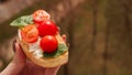 Woman& x27;s hand with cherry tomato bruschetta. Italian wine appetizer Royalty Free Stock Photo