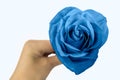 woman& x27;s hand hold a blue rose. present, gift Royalty Free Stock Photo