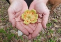 a woman& x27;s hand holding a flower, peace, zen, tranquility