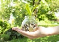 Woman& x27;s hand holding a plant growing from coins in a glass jar on a blurred green natural background. Royalty Free Stock Photo