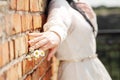 Woman& x27;s hand holding small blossoming chamomile flower bouquet on brick wall background