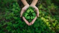 Environmental Care: Hands Holding Plant Symbol Ai generated Royalty Free Stock Photo