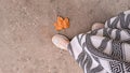 Woman's legs in sneakers and golden maple leaf copy space ,beginning of autumn Royalty Free Stock Photo