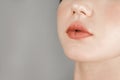 Woman& x27;s lips close up. Beautiful lip makeup close up Royalty Free Stock Photo