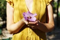 Woman in a yellow dress holding a fresh purple hibiscus flower in a park Royalty Free Stock Photo