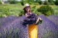 A woman in a yellow dress holds with huge bouquet of lavender Royalty Free Stock Photo