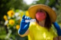 Woman in yellow top wearing a red facemask and hat holding a coronavirus rapid test in front of sunflowers bokeh