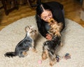 Woman - yorkshire terrier owner is playing on the carpet with he Royalty Free Stock Photo