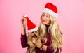 Woman and yorkshire terrier wear santa hat. Girl attractive blonde hold dog pet pink background. Celebrate christmas Royalty Free Stock Photo