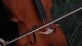 Woman Ã¯Â»Â¿violoncellist plays the Ã¯Â»Â¿violoncello on meadow at dusk.