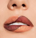 Womanish lips Royalty Free Stock Photo