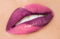 Womanish lips Royalty Free Stock Photo