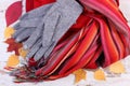 Womanly clothes and autumnal leaves on old rustic wooden background Royalty Free Stock Photo