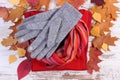 Womanly clothes and autumnal leaves on old rustic wooden background Royalty Free Stock Photo