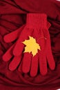 Womanly gloves and autumnal leaves on burgundy shawl background Royalty Free Stock Photo