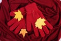 Womanly gloves and autumnal leaves on burgundy shawl background Royalty Free Stock Photo