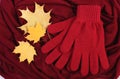 Womanly gloves and autumnal leaves on burgundy shawl background Royalty Free Stock Photo