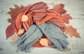 Womanly woolen clothes and autumnal leaves on old rustic board