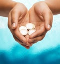 Womans cupped hands showing euro coins Royalty Free Stock Photo