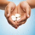 Womans cupped hands showing euro coins Royalty Free Stock Photo