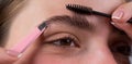 Womans eyebrows. Macro close up of brows. Beautiful girl with eyebrow brush. Girl with natural make up. Eyebrow
